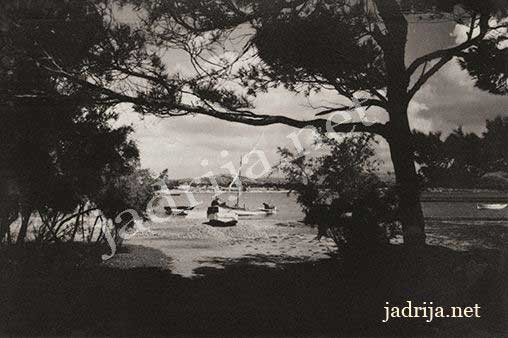 Jadrija jadrija