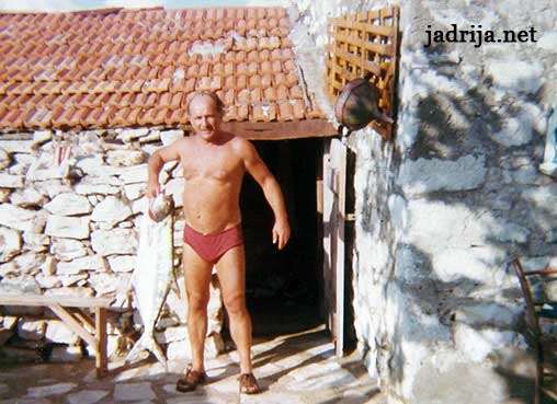 Jadrija jadrija