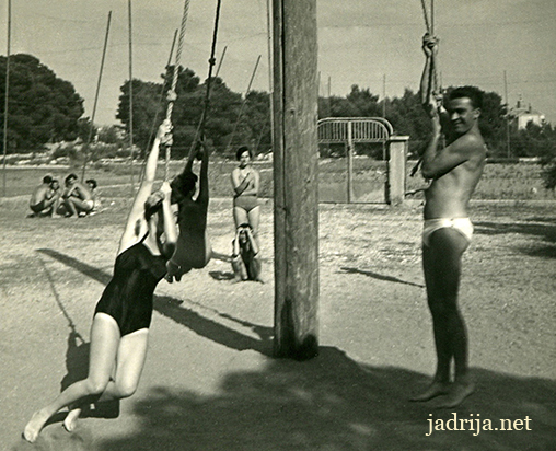 Jadrija jadrija